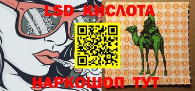 крисы Шебекино