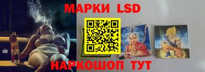 крисы Шебекино
