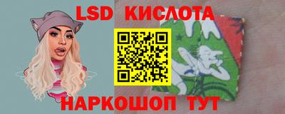 крисы Шебекино