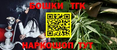 крисы Шебекино