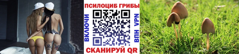 Галлюциногенные грибы прущие грибы  наркошоп  Анжеро-Судженск 